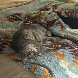 Meet your Posher, Keeandra